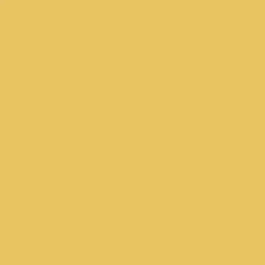 LIM 004 - Decorazza