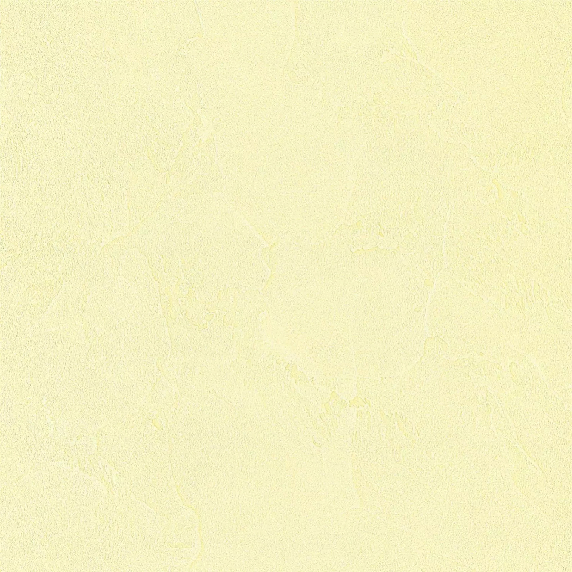 CD 10-04 - Decorazza