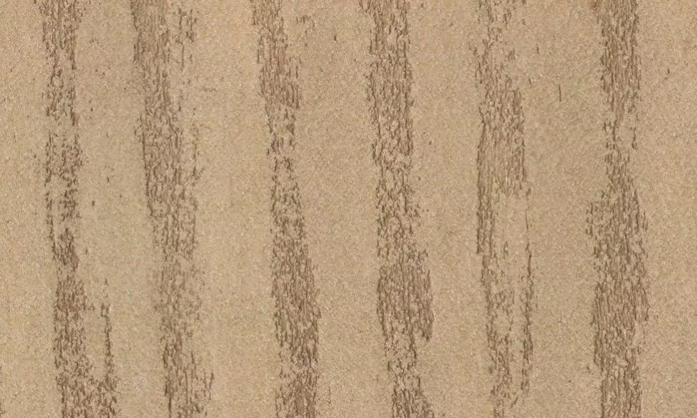 PV 10-19