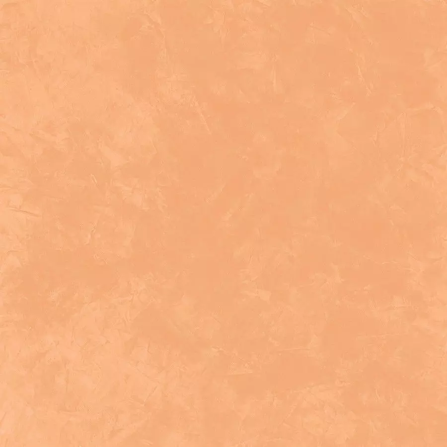 SV 10-19 SV 10-19 - Decorazza