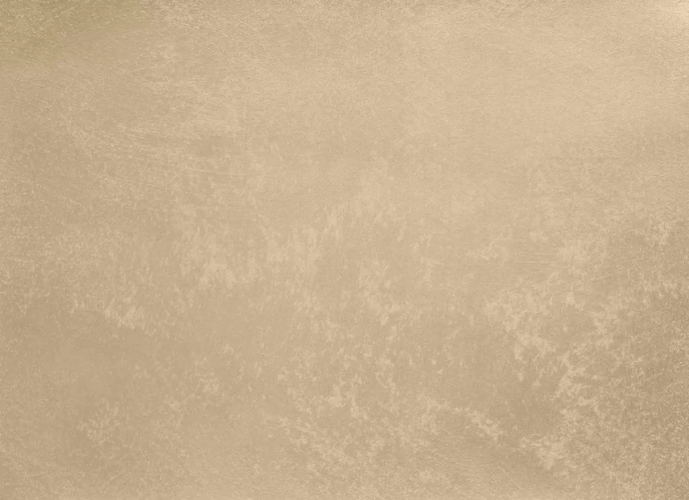 AR 10-05 - Decorazza
