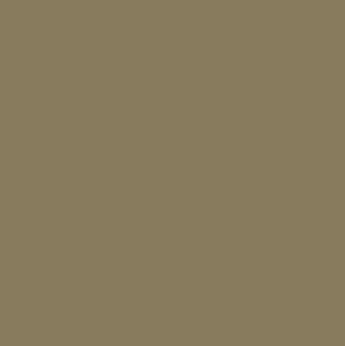 ALC 013 - Decorazza