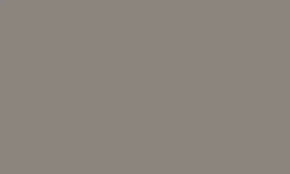 TRN 10-19 - Decorazza